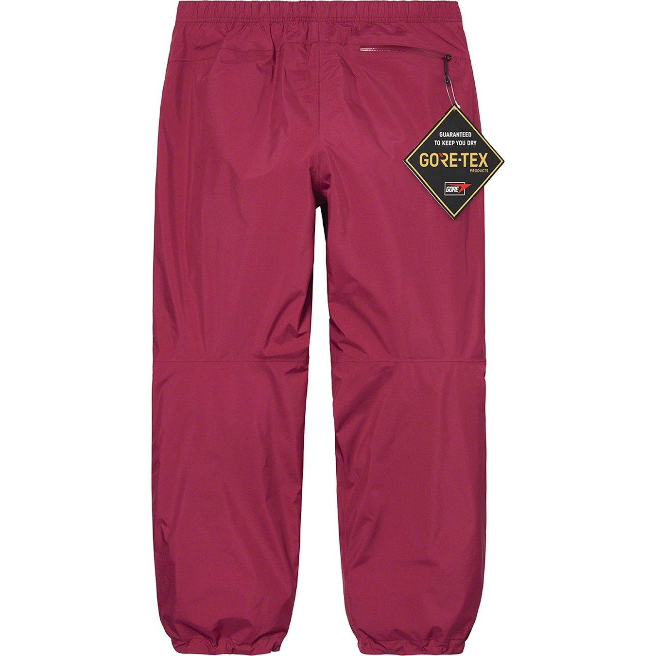 GORE-TEX Paclite Pant view 9